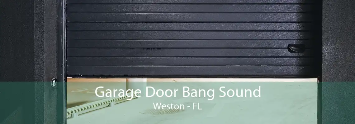 Garage Door Bang Sound Weston - FL