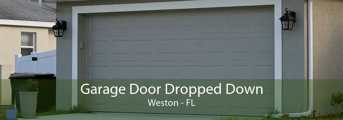 Garage Door Dropped Down Weston - FL