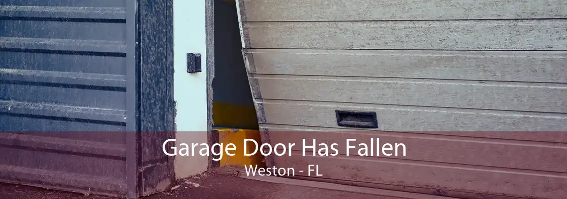Garage Door Has Fallen Weston - FL