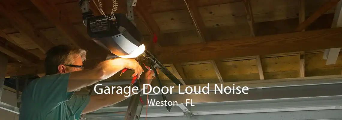 Garage Door Loud Noise Weston - FL
