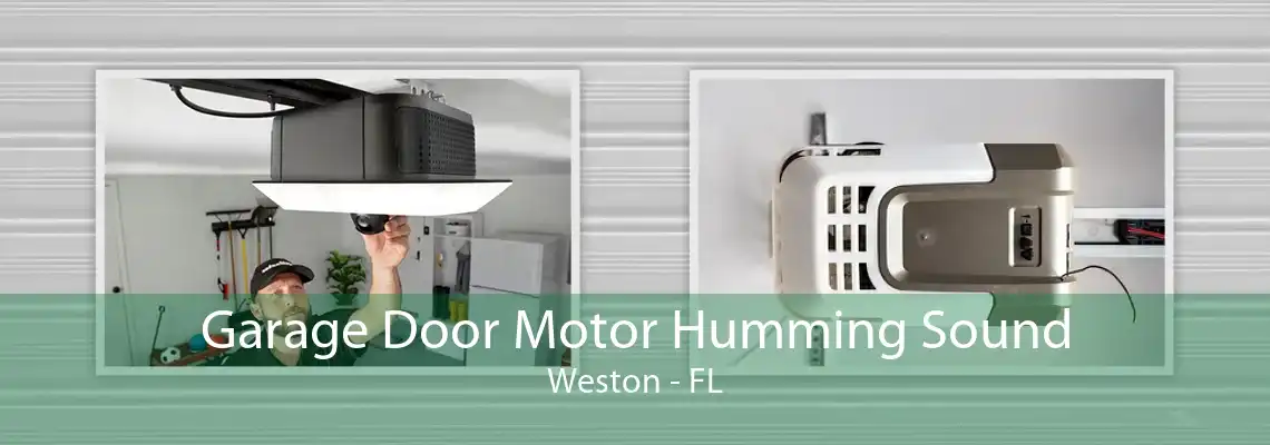 Garage Door Motor Humming Sound Weston - FL