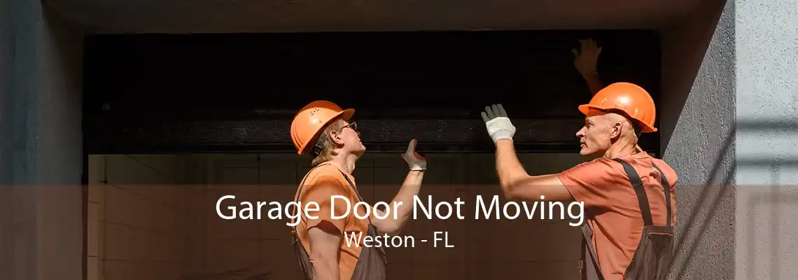 Garage Door Not Moving Weston - FL