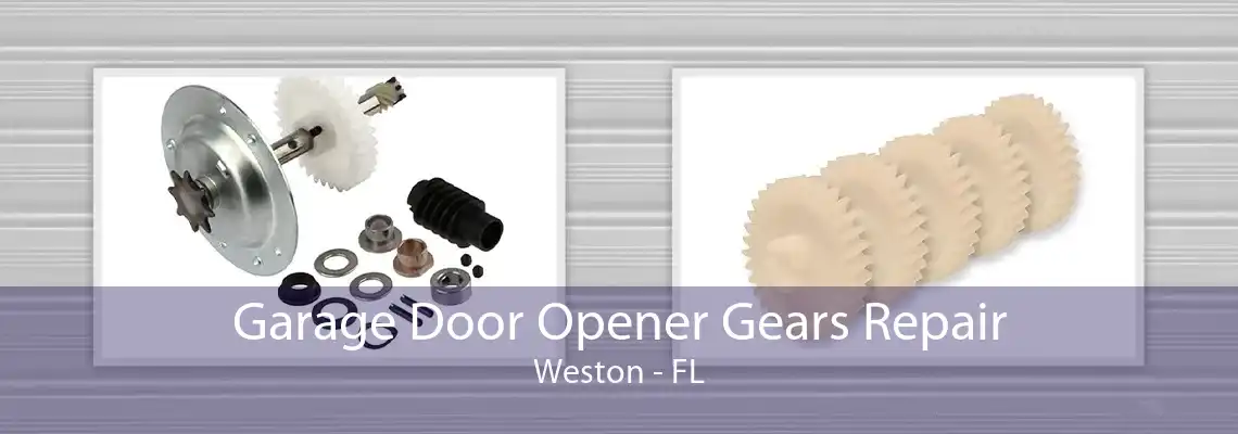 Garage Door Opener Gears Repair Weston - FL