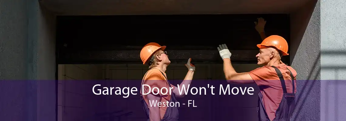 Garage Door Won't Move Weston - FL