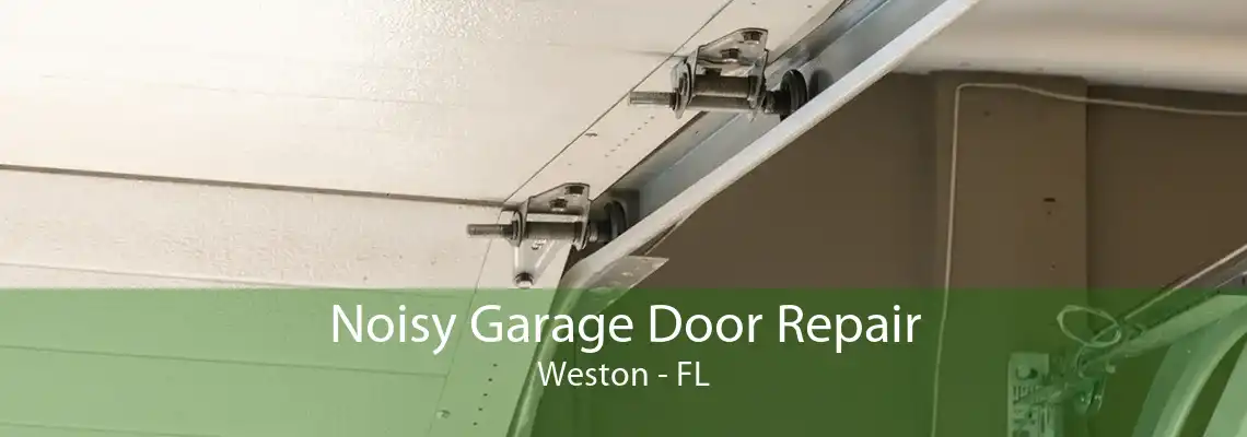 Noisy Garage Door Repair Weston - FL