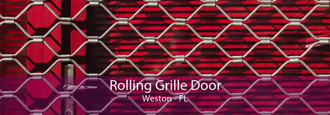 Rolling Grille Door Weston - FL